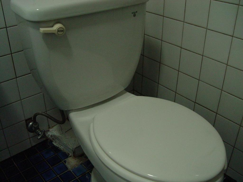 Saewha Hostel Seoul Værelse billede