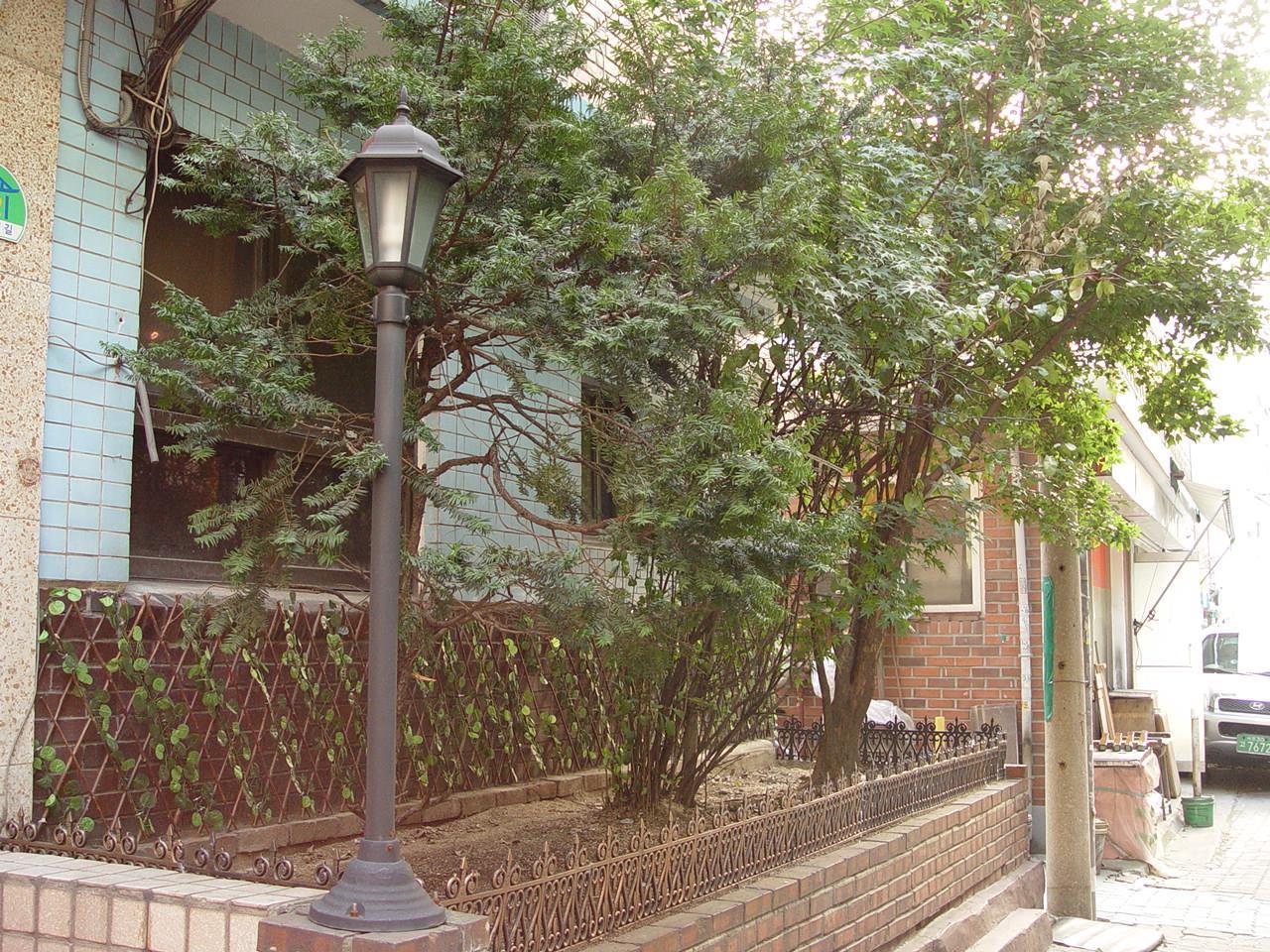 Saewha Hostel Seoul Eksteriør billede